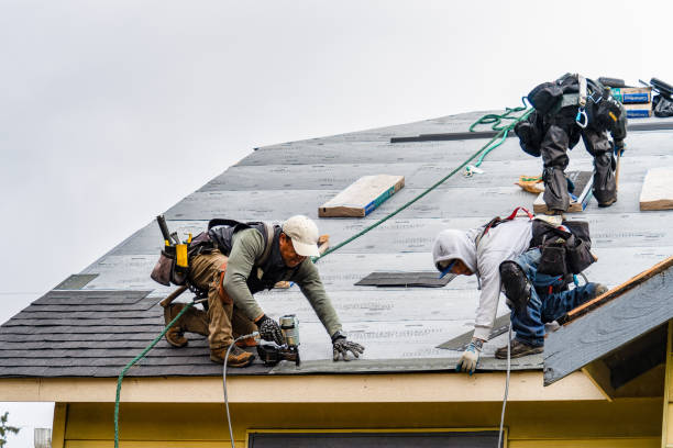 Professional Roof Installation technician working in Michigan Center, MI